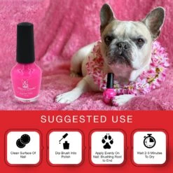 Warren London Variety Pack Dog Nail Polish, 0.50-oz Bottle, 6 Count -Pet Wellness 263438 PT2. AC SS1800 V1671202197