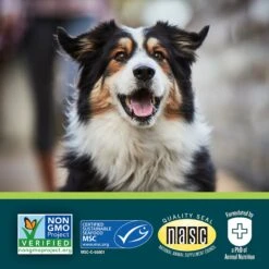 EverRoot By Purina Calming + Chamomile Liquid Dog Supplement -Pet Wellness 263448 PT6. AC SS1800 V1634256092