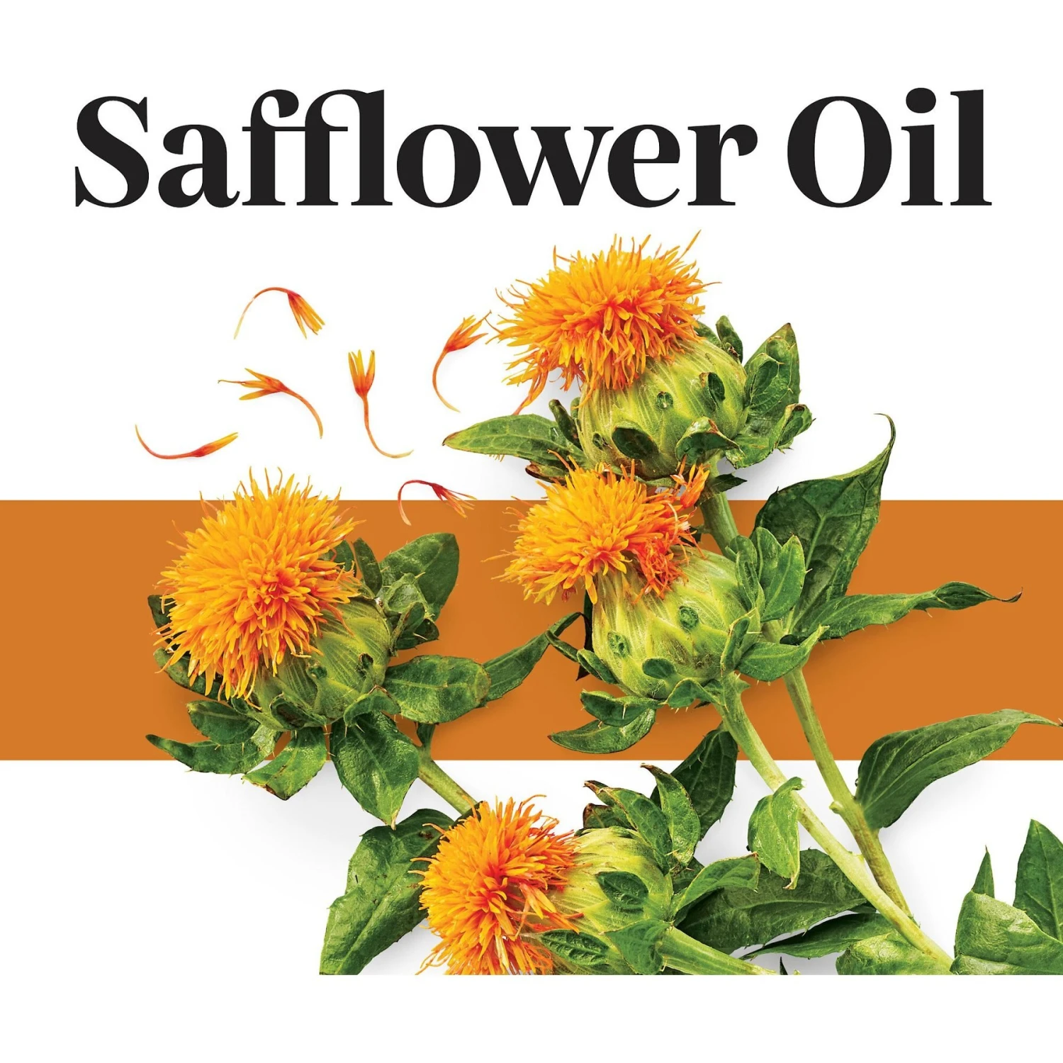 EverRoot By Purina Skin & Coat + Safflower Oil Liquid Dog Supplement 3 EverRoot By Purina Skin & Coat + Safflower Oil Liquid Dog Supplement - Image 3