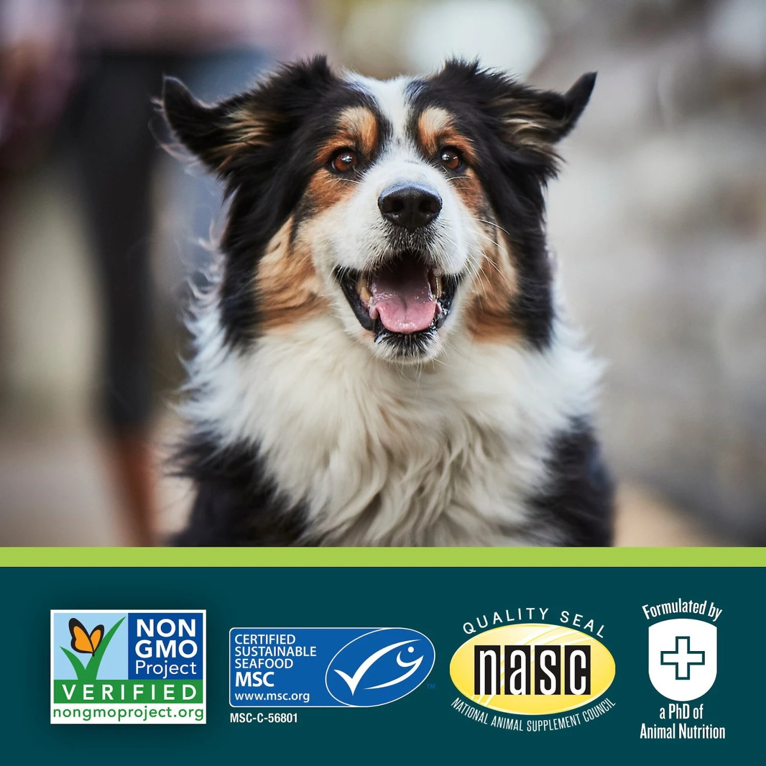 EverRoot By Purina Skin & Coat + Safflower Oil Liquid Dog Supplement 7 EverRoot By Purina Skin & Coat + Safflower Oil Liquid Dog Supplement - Image 7