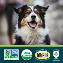 EverRoot By Purina Digestion + Pumpkin Liquid Dog Supplement, 0.5-oz, Case Of 14 -Pet Wellness 263463 PT6. AC SS1800 V1634247703