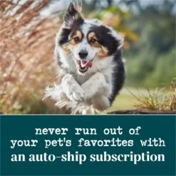 EverRoot By Purina Brain Health + Coconut Oil Chewable Tablets Dog Supplement, 60 Count -Pet Wellness 263467 PT8. AC SS1800 V1700157589