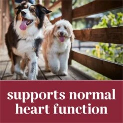 EverRoot By Purina Heart Health + Taurine & Green Lipped Mussels Chewable Tablets Dog Supplement, 60 Count 12 EverRoot By Purina Heart Health + Taurine & Green Lipped Mussels Chewable Tablets Dog Supplement, 60 Count -Pet Wellness 263469 PT3. AC SS1800 V1700156903