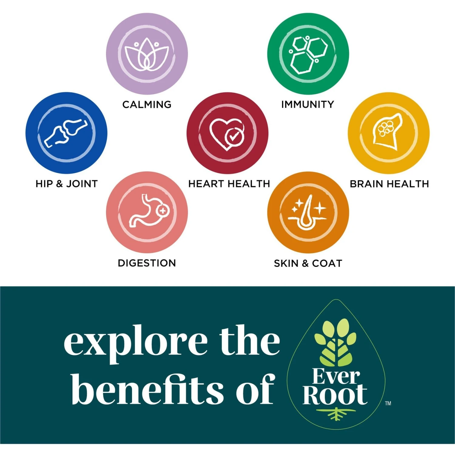 EverRoot By Purina Heart Health + Taurine & Green Lipped Mussels Chewable Tablets Dog Supplement, 60 Count 7 EverRoot By Purina Heart Health + Taurine & Green Lipped Mussels Chewable Tablets Dog Supplement, 60 Count - Image 7