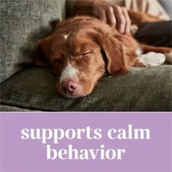 EverRoot By Purina Calming + Chamomile Chewable Tablets Dog Supplement, 60 Count -Pet Wellness 263471 PT3. AC SS1800 V1700158916