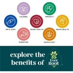 EverRoot By Purina Digestion + Pumpkin Chewable Tablets Dog Supplement, 60 Count -Pet Wellness 263475 PT6. AC SS1800 V1700162094