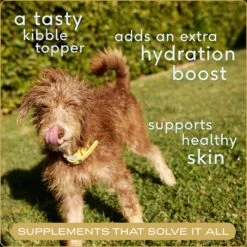 Native Pet Beef Bone Broth Powder Dog & Cat Food Topper -Pet Wellness 263651 PT2. AC SS1800 V1687958425