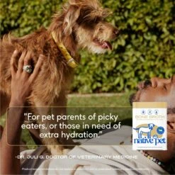 Native Pet Beef Bone Broth Powder Dog & Cat Food Topper -Pet Wellness 263651 PT4. AC SS1800 V1687957495