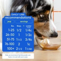 Native Pet Beef Bone Broth Powder Dog & Cat Food Topper -Pet Wellness 263651 PT5. AC SS1800 V1687962730