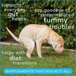 Native Pet Vet-Formulated Probiotic & Prebiotic Digestive Issues Powder Supplement For Dogs -Pet Wellness 263657 PT2. AC SS1800 V1687962217