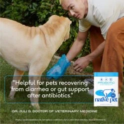 Native Pet Vet-Formulated Probiotic & Prebiotic Digestive Issues Powder Supplement For Dogs -Pet Wellness 263657 PT4. AC SS1800 V1687958489