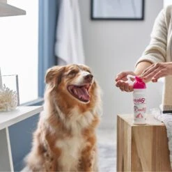 Douxo S3 CALM Soothing Itchy, Hydrated Skin Dog & Cat Mousse, 5.1-oz Bottle -Pet Wellness 264197 PT5. AC SS1800 V1617234147