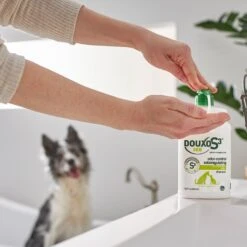 Douxo S3 SEB Odor-Control Seboregulating Dog & Cat Shampoo -Pet Wellness 264202 PT5. AC SS1800 V1617232050