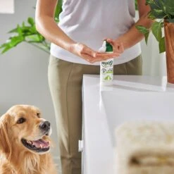 Douxo S3 SEB Odor-Control Seboregulating Dog & Cat Mousse, 5.1-oz Bottle -Pet Wellness 264204 PT5. AC SS1800 V1617230279