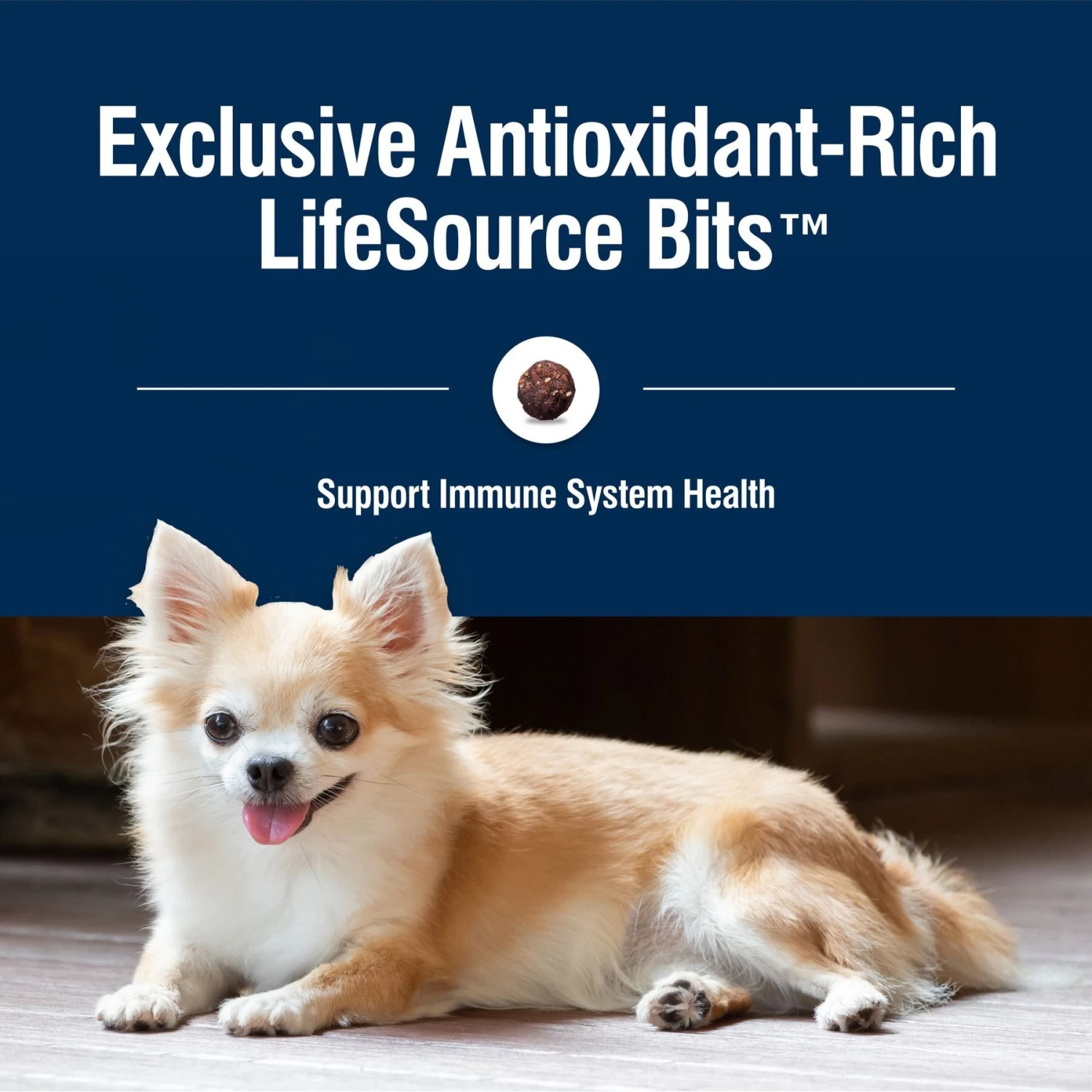 Blue Buffalo True Solutions Small & Mighty Small Breed Formula Adult Dry Dog Food 7 Blue Buffalo True Solutions Small & Mighty Small Breed Formula Adult Dry Dog Food - Image 7