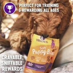 Wellness Soft Puppy Bites Lamb & Salmon Recipe Grain-Free Natural Dog Treats 10 Wellness Soft Puppy Bites Lamb & Salmon Recipe Grain-Free Natural Dog Treats -Pet Wellness 264908 PT3. AC SS1800 V1608684153