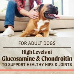 Merrick Healthy Grains Real Salmon & Brown Rice Recipe With Ancient Grains Dry Dog Food 17 Merrick Healthy Grains Real Salmon & Brown Rice Recipe With Ancient Grains Dry Dog Food -Pet Wellness 265087 PT8. AC SS1800 V1620839531