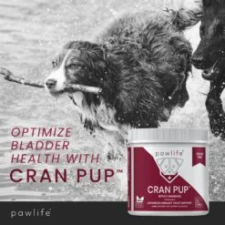 Pawlife Cran Pup Advanced Urinary Tract Support Chicken Flavor Soft Chews Dog Supplement -Pet Wellness 265174 PT3. AC SS1800 V1610422652
