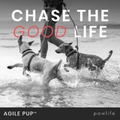 Pawlife Agile Pup Canine Mobility Complex Chicken Flavor Soft Chews Dog Supplement, 120 Count -Pet Wellness 265176 PT2. AC SS1800 V1610457749