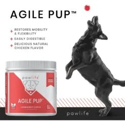 Pawlife Agile Pup Canine Mobility Complex Chicken Flavor Soft Chews Dog Supplement, 120 Count -Pet Wellness 265176 PT4. AC SS1800 V1610360584