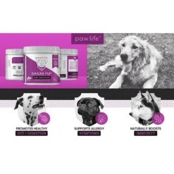 Pawlife Immune Pup Allergy + Digestive Support Salmon Flavor Soft Chews Dog Supplement, 120 Count -Pet Wellness 265178 PT2. AC SS1800 V1610430742