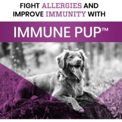 Pawlife Immune Pup Allergy + Digestive Support Salmon Flavor Soft Chews Dog Supplement, 120 Count -Pet Wellness 265178 PT5. AC SS1800 V1610367786