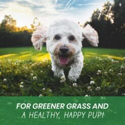 Pawlife Turf Treats Lawn Burn Protection Urinary & Digestive Support Chicken Flavor Soft Chews Dog Supplement, 120 Count -Pet Wellness 265180 PT4. AC SS1800 V1610481756