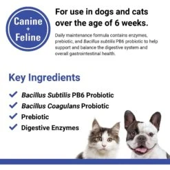 VetClassics Protegrity EZ Probiotic & Enzyme Soft Chews Dog & Cat Supplement, 120 Count -Pet Wellness 265192 PT6. AC SS1800 V1614358278