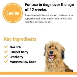 VetClassics Urinary Tract Chewable Tablets Dog Supplement, 120 Count -Pet Wellness 265194 PT6. AC SS1800 V1614359245