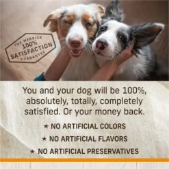 Merrick Healthy Grains Raw-Coated Kibble Real Chicken + Brown Rice Recipe Freeze-Dried Dry Dog Food -Pet Wellness 265200 PT7. AC SS1800 V1673561281