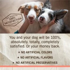 Merrick Healthy Grains Raw-Coated Kibble Real Salmon + Brown Rice Recipe Freeze-Dried Dry Dog Food 15 Merrick Healthy Grains Raw-Coated Kibble Real Salmon + Brown Rice Recipe Freeze-Dried Dry Dog Food -Pet Wellness 265204 PT7. AC SS1800 V1673561270