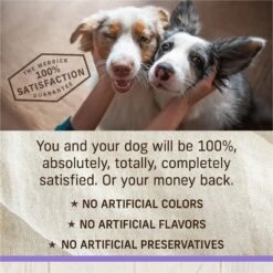 Merrick Healthy Grains Raw-Coated Kibble Puppy Recipe Freeze-Dried Dry Dog Food -Pet Wellness 265208 PT7. AC SS1800 V1673561192