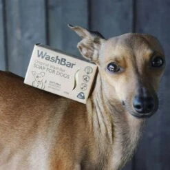WashBar Original Dog Soap Bar 7 WashBar Original Dog Soap Bar -Pet Wellness 265225 PT2. AC SS1800 V1610084547