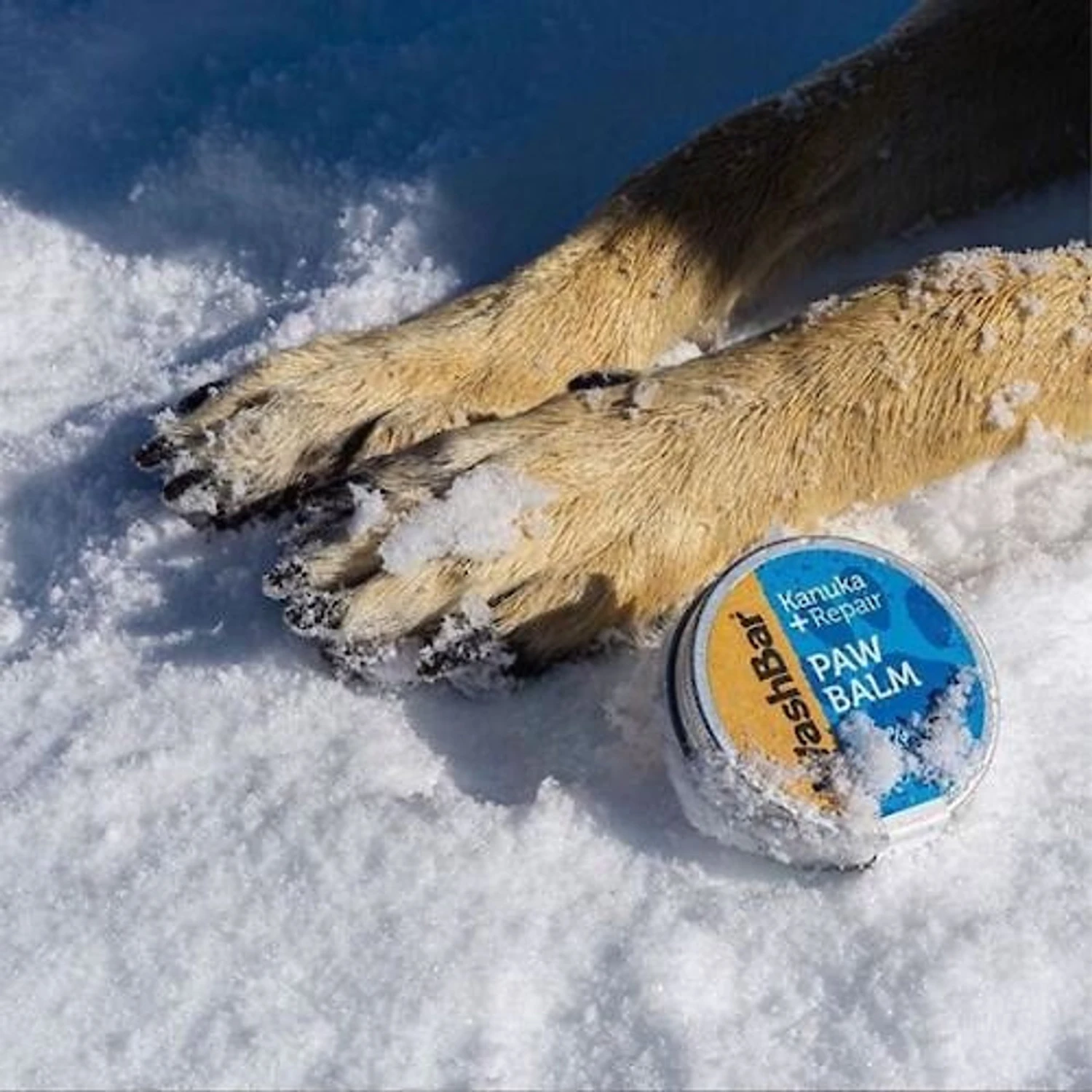 WashBar Kanuka + Repair Dog Paw Balm, 1.7-oz Tin 6 WashBar Kanuka + Repair Dog Paw Balm, 1.7-oz Tin - Image 6