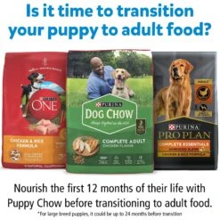 Purina Puppy Chow Pate Real Beef & Chicken Wet Puppy Food Variety Pack 12 Purina Puppy Chow Pate Real Beef & Chicken Wet Puppy Food Variety Pack -Pet Wellness 265981 PT3. AC SS1800 V1700161583
