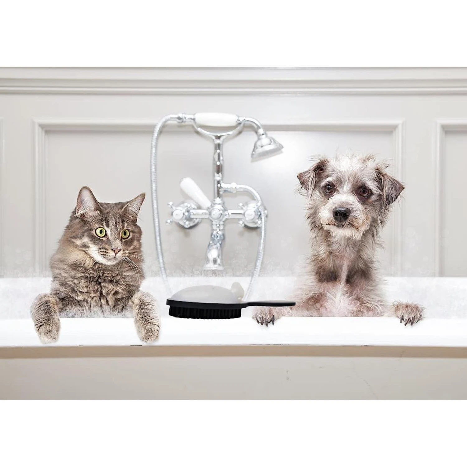 Beauty By Benjamin The Benjamin Brush Cat, Dog & Horse Long Hair Product Pump & Brush 2 Beauty By Benjamin The Benjamin Brush Cat, Dog & Horse Long Hair Product Pump & Brush - Image 2