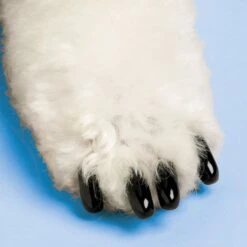Soft Claws Dog Nail Caps Starter Kit -Pet Wellness 266536 PT3. AC SS1800 V1611618420