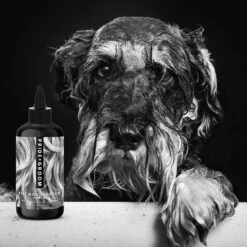 Pride+Groom The Non Shedder Dog Shampoo, 16-oz Bottle -Pet Wellness 266729 PT2. AC SS1800 V1610819745