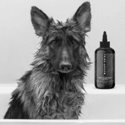 Pride+Groom The Shedder Dog Shampoo, 16-oz Bottle -Pet Wellness 266731 PT2. AC SS1800 V1610819265
