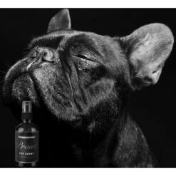 Pride+Groom The Proud Pet Freshener Dog Spray, 4-oz Bottle -Pet Wellness 266737 PT2. AC SS1800 V1610857677