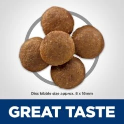 Hill's Science Diet Adult Perfect Digestion Large Breed Chicken Dry Dog Food -Pet Wellness 266832 PT3. AC SS1800 V1614205600