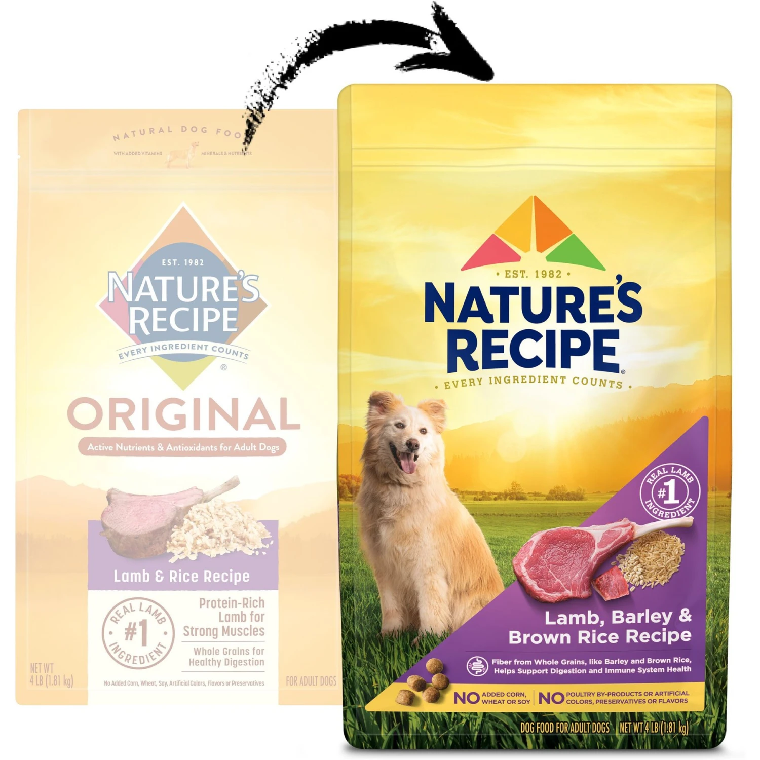 Nature's Recipe Adult Lamb, Barley & Brown Rice Recipe Dry Dog Food 2 Nature's Recipe Adult Lamb, Barley & Brown Rice Recipe Dry Dog Food - Image 2