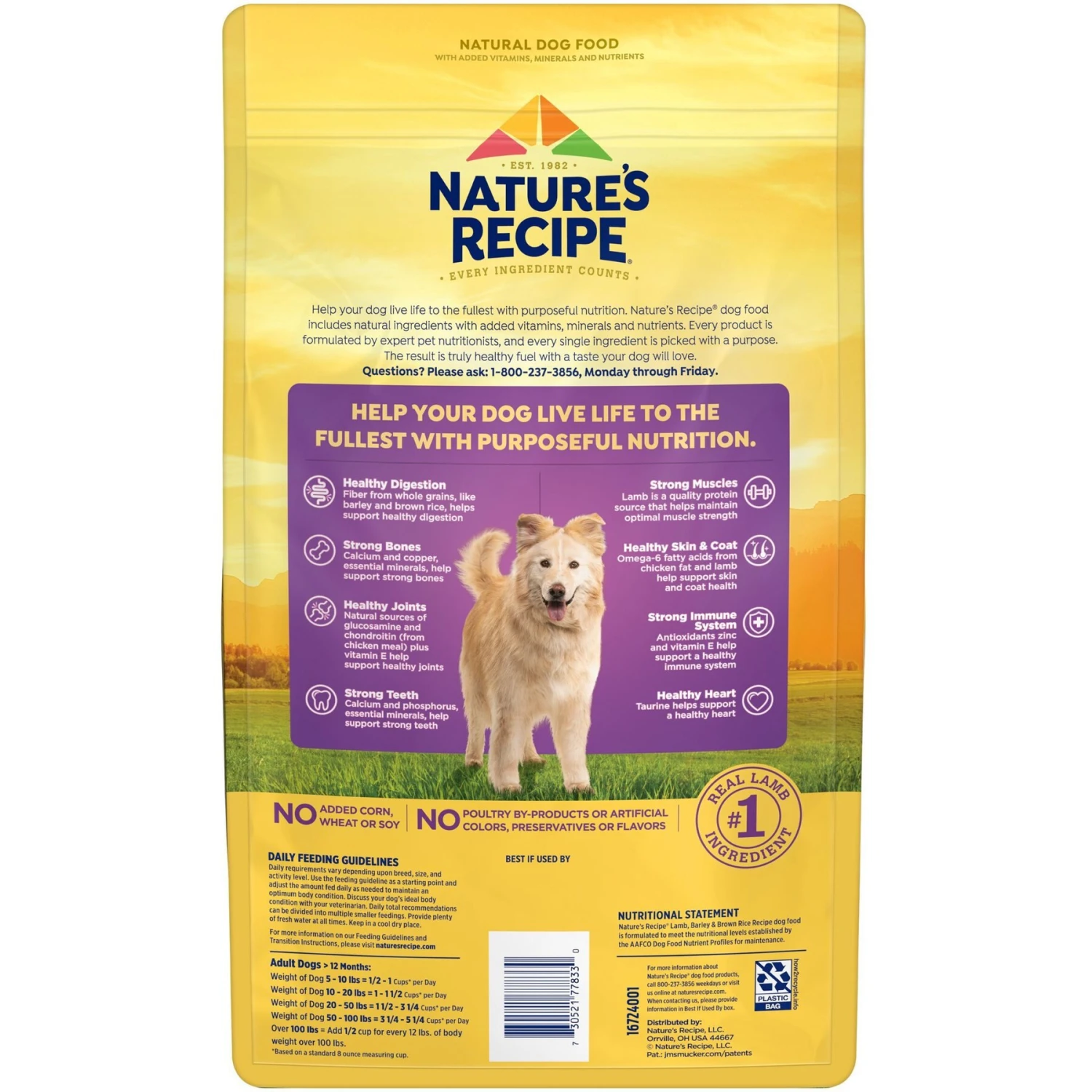 Nature's Recipe Adult Lamb, Barley & Brown Rice Recipe Dry Dog Food 3 Nature's Recipe Adult Lamb, Barley & Brown Rice Recipe Dry Dog Food - Image 3