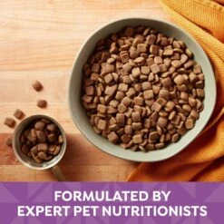 Nature's Recipe Adult Lamb, Barley & Brown Rice Recipe Dry Dog Food 12 Nature's Recipe Adult Lamb, Barley & Brown Rice Recipe Dry Dog Food -Pet Wellness 266854 PT3. AC SS1800 V1672851234