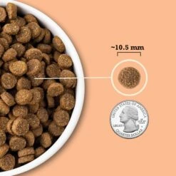 ACANA Wholesome Grains Puppy Recipe Dry Dog Food -Pet Wellness 267890 PT5. AC SS1800 V1696266695