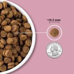 ACANA Wholesome Grains Small Breed Recipe Dry Dog Food -Pet Wellness 267894 PT5. AC SS1800 V1696266694