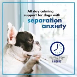 VetriScience Composure Long Lasting Chicken Flavored Calming Supplement For Dogs -Pet Wellness 268717 PT3. AC SS1800 V1657656522