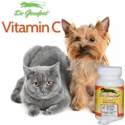 Dr. Goodpet Crystal C Buffered Vitamin C Crystals Dog & Cat Supplement, 2-oz Jar 5 Dr. Goodpet Crystal C Buffered Vitamin C Crystals Dog & Cat Supplement, 2-oz Jar -Pet Wellness 269137 PT2. AC SS1800 V1611275509
