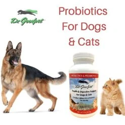 Dr. Goodpet Prebiotics & Probiotics Health & Digestive Support Dog & Cat Supplement, 4-oz Jar -Pet Wellness 269139 PT3. AC SS1800 V1611273443