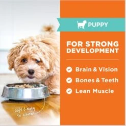 Instinct Raw Meals Cage-Free Chicken Recipe Grain-Free Freeze-Dried Puppy Food -Pet Wellness 270211 PT4. AC SS1800 V1690580622